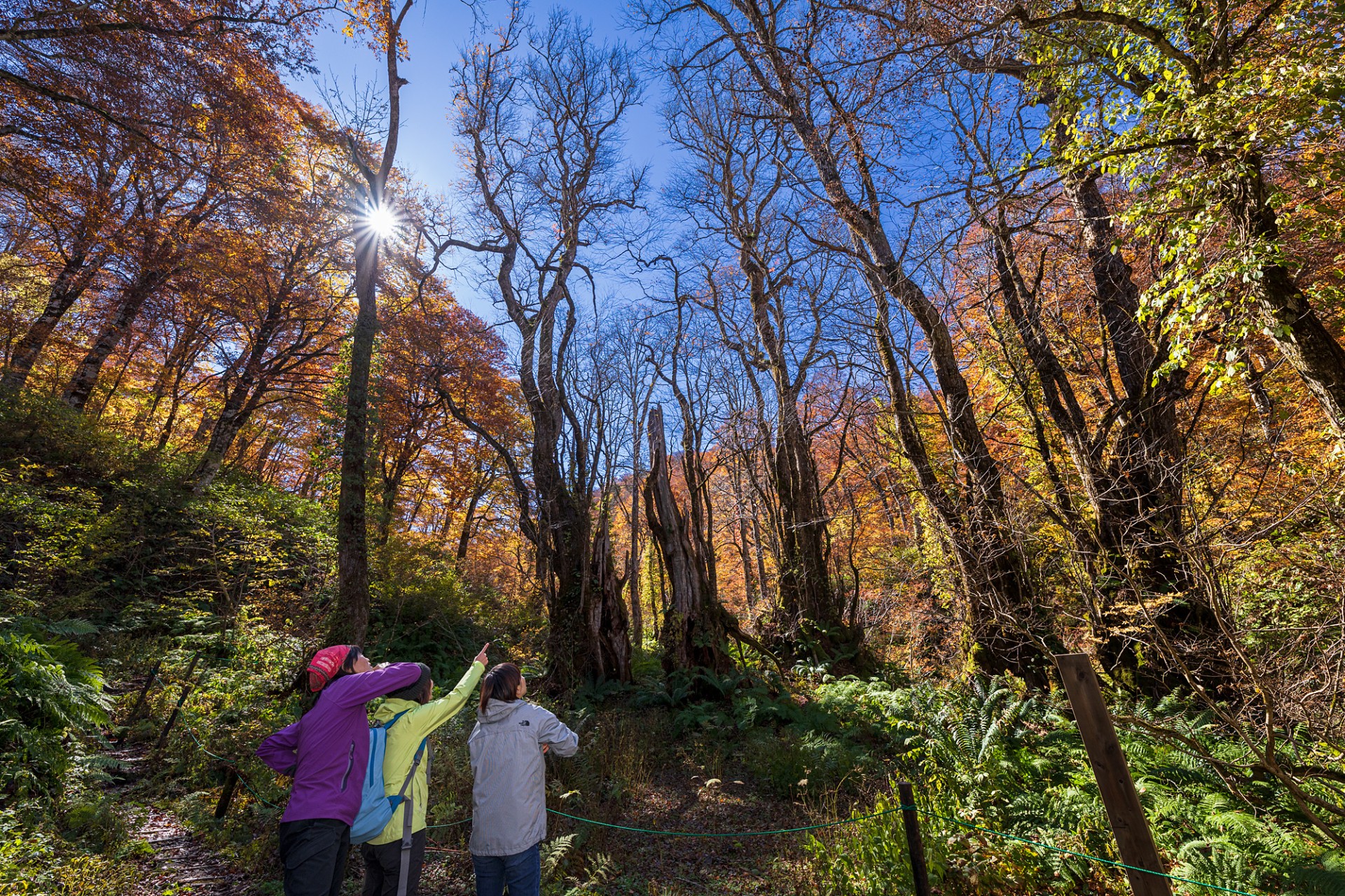 秋の天生県立自然公園でハイキング！飛騨の大自然を満喫